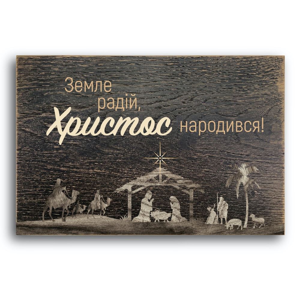 Декоративная деревянная плакетка 30 20 "Земле радій! "