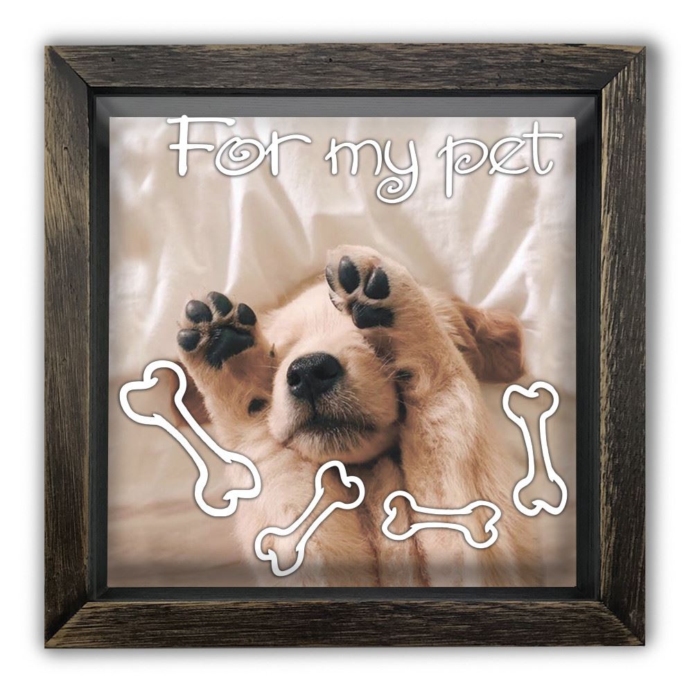 Деревянная копилка 20 20 см "For my pet"